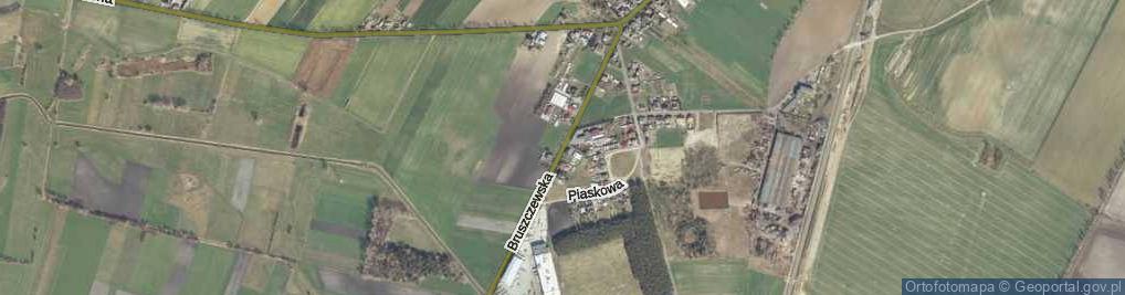 Zdjęcie satelitarne Bruszczewska ul.
